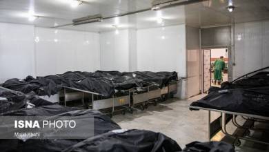 تعداد کشته شدگان از کرونا در کهگیلویه و بویراحمد 294