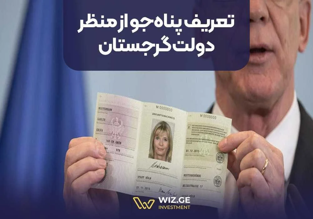تعریف پناهجو از منظر دولت گرجستان