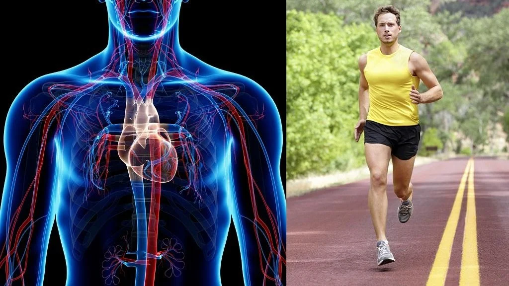 افزایش نعوظ به روش طبیعی
